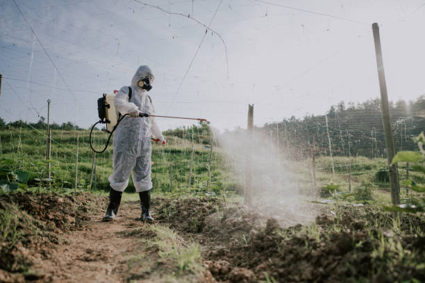 Best Commercial Pest Control Services  in Bellbrook, OH