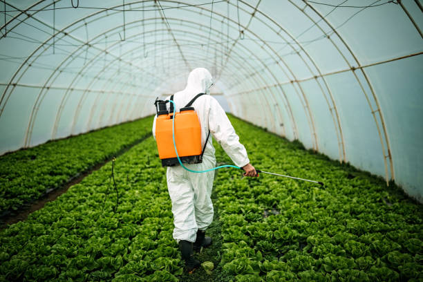 Professional Pest Control in Bellbrook, OH