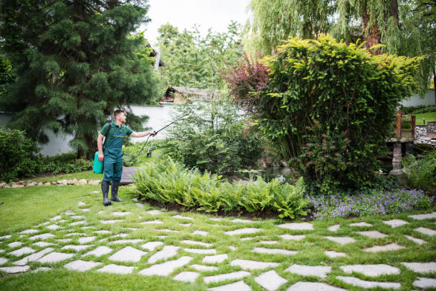 Best Affordable Pest Control Services  in Bellbrook, OH
