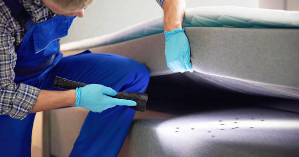 Best Affordable Exterminators  in Bellbrook, OH
