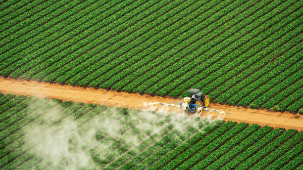 Best Mosquito Control Services  in Bellbrook, OH