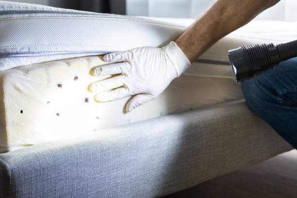 Best Pest Control for Restaurants  in Bellbrook, OH