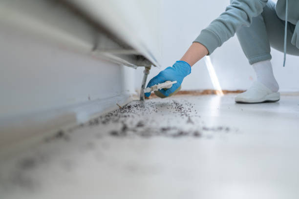 Best Local Pest Control Services  in Bellbrook, OH