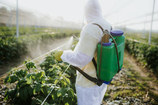 Best Flea Control Services  in Bellbrook, OH